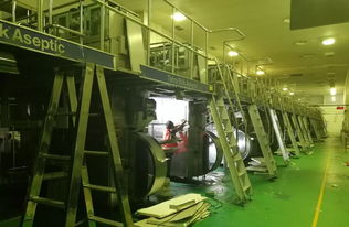 應對淡季挑戰 紙包廠啟動全面整改 開拓二手包銷售新渠道