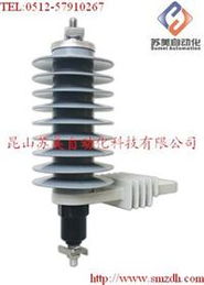 TOYO避雷器SA系列 高效防雷保護的可靠選擇